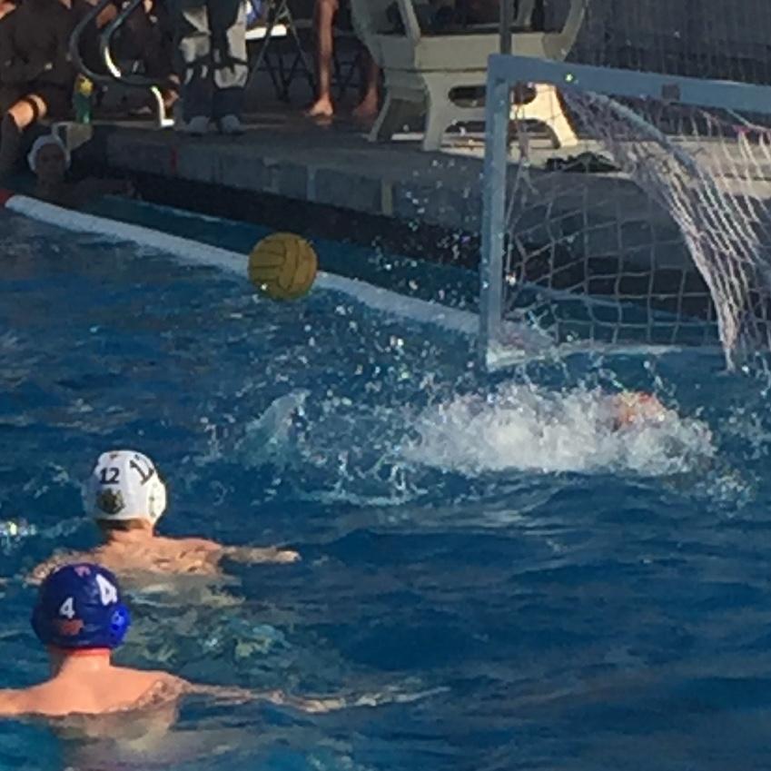 WHS water polo takes surprising defeat from NPHS