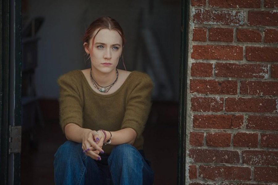 Lady Bird an unforgettable experience