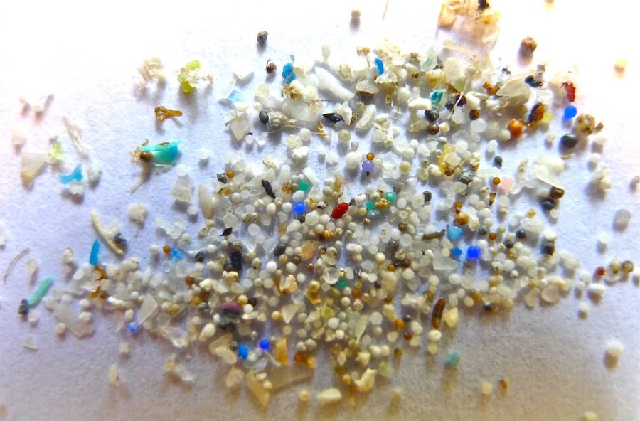 Small but mighty: microplastics