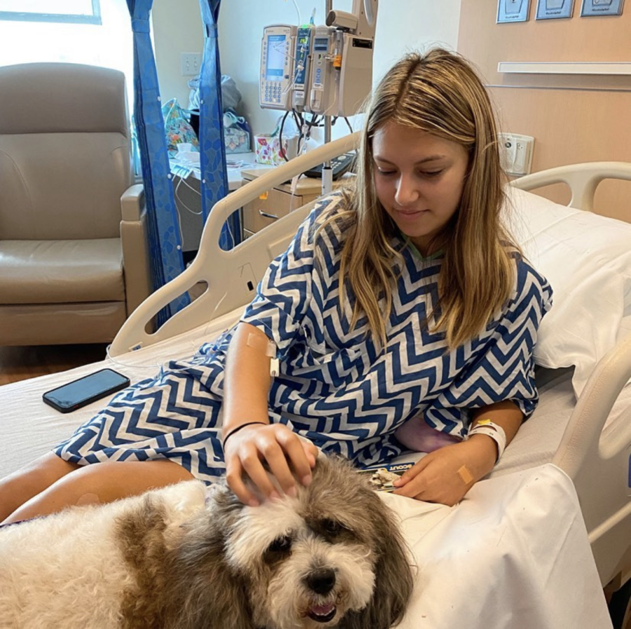 BUTLER BATTLES CANCER: Georgia Butler is comforted by a therapy dog provided by the Children’s Hospital Los Angeles while undergoing chemotherapy treatment to prevent the spread of B–cell leukemia. After a year of treatment, Butler has returned to WHS for her senior year.