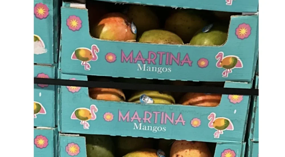Panorama Produce Recalled 302 Boxes of Mangoes Sold at Walmart in Four States After FDA Found Salmonella on Related Farm Samples